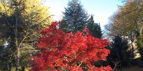 Autumn Equinox One Day Yoga Retreat