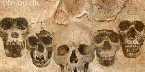 Livestreaming - DNA og fossiler udvider vores stamtr\u00e6