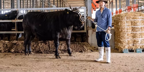 \u7b2c89\u56de\u300c\u80fd\u767b\u534a\u5cf6\u5fa9\u8208\u306b\u5411\u304d\u5408\u3046\u80fd\u767b\u7267\u5834\u306e\u300e\u80fd\u767b\u725b\u300f\u53d6\u308a\u7d44\u307f\u306b\u5b66\u3076\u300d