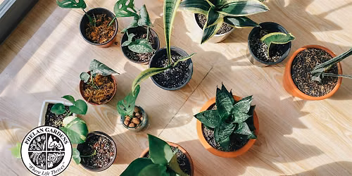 Tiny Plants Pot Up for Kids & Teens