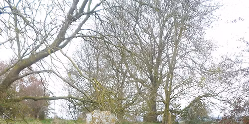 Appledore 14 mile walk