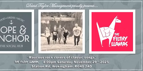 The Filthy Llamas - Hope and Anchor, Wokingham