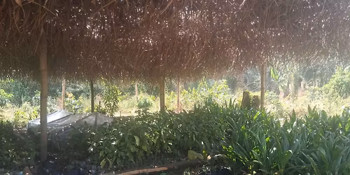 le caf\u00e9 est disponible chez nous