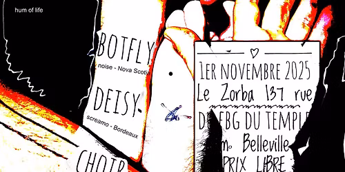 BOTFLY (noise post HxC) x DEISY (screamo) x CHOIR (avant post)