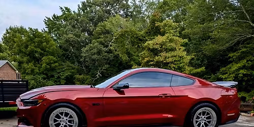 Kennygshpatternmania 