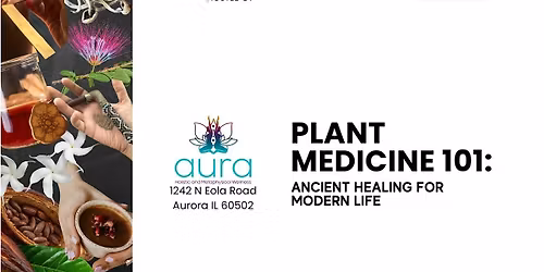 Plant Medicine 101: Ancient Healing for Modern Life