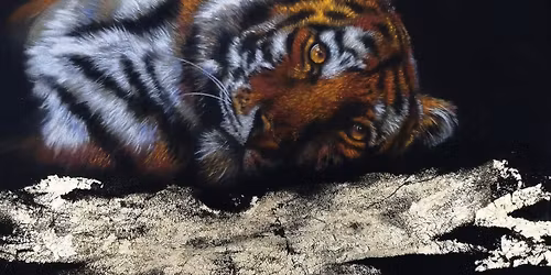 Tiger in Pastel on Velour with Estelle Robinson