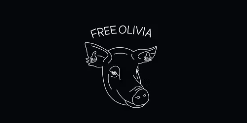 Court Hearing - Free Olivia