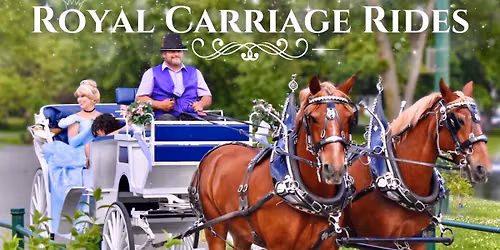 Royal Carriage Rides with Cinderella!\ud83c\udfa0\ud83d\udc51