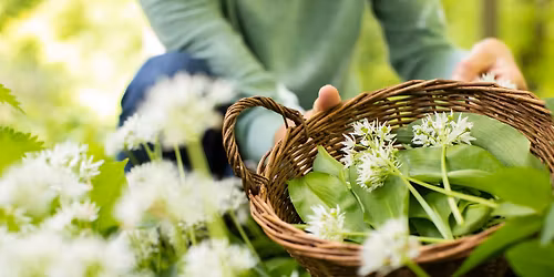 Cook Seasonally & Build Food Resilience