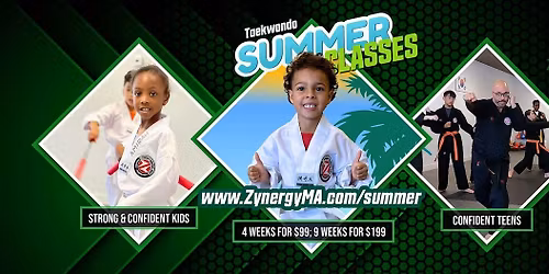 Taekwondo Summer Classes