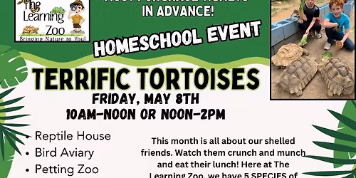 Tortoises & Turtles HOMESCHOOL DAY