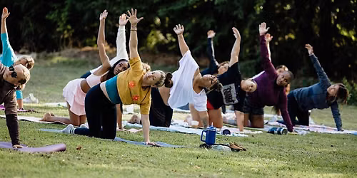 Summer Wellness Series: Yoga & You Pick Experience
