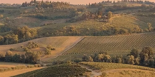 Noble Reds of Italy Masterclass