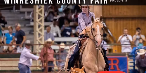 Rogue Rodeo