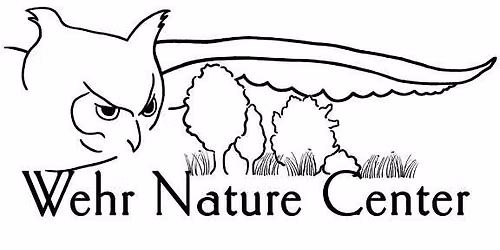 Bird Watching @ Wehr Nature Center 