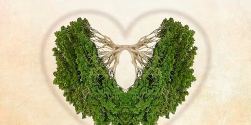 David Malikoff Presents: A Musing About Love