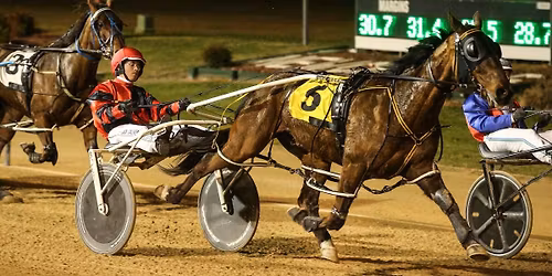 Potter at the Paceway