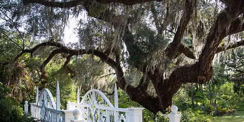 Cultivating Utopia: Koreshan Unity Garden Tour