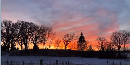 Lighting of the Vines