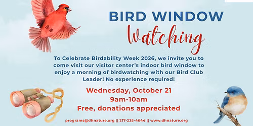 Bird Window Watching