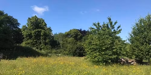 Annual General Meeting