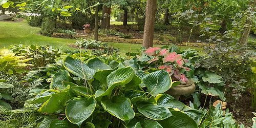 Danny Lawson with the AHS 