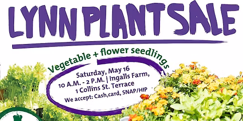 Lynn Plant Sale