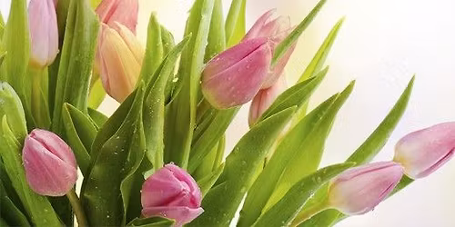 Mother\u2019s Day Brunch by the Sea