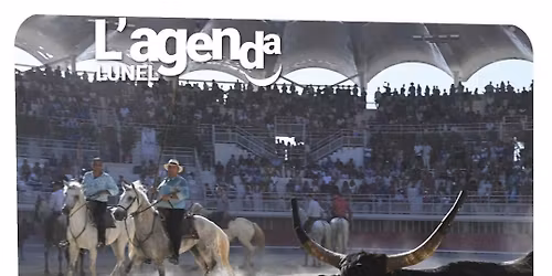 Festival du film taurin Camarguais Lunel