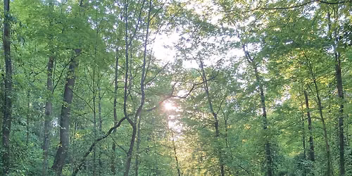 Nurtured By Nature Walking Series (Tuesdays)