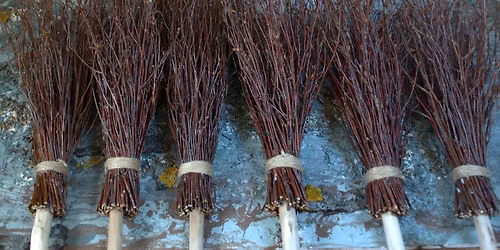 Besom Making & Besom Folklore in the Stargazer