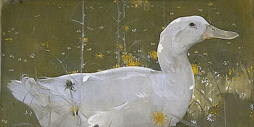 White Drake, Crawhall