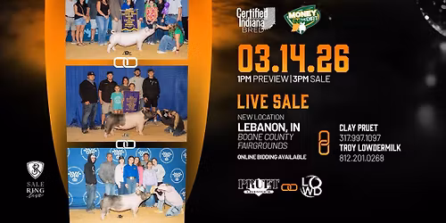 Combined Forces Pig Sale