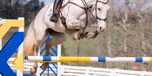 Jumper Schooling Show Series