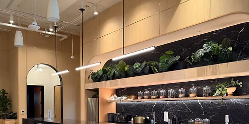 GRAND OPENING - WellSuite x Generator Wellness