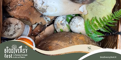 \ud83c\udf44 Funghi e biodiversit\u00e0 del Bosco di Ladino | Mondadori Bookstore Forl\u00ec Incontro con Gigi Stagioni