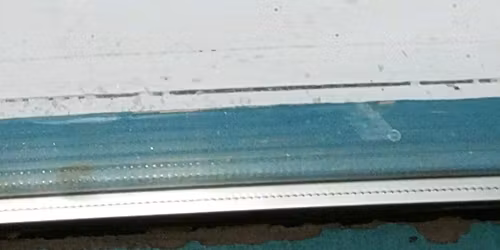 Sixth annual Jolly Nuts pub crawl