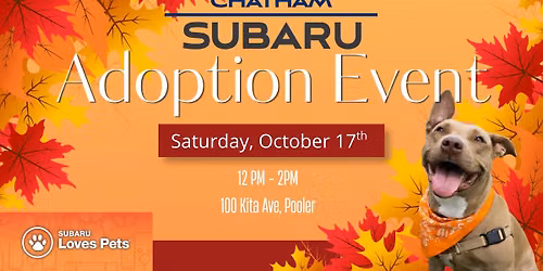 Subaru Loves Pets Adoption Event