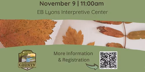 Pressed Plant Workshop