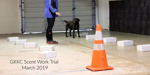 Save the Date: October 23-25, 2026: Greater Kingsport Kennel Club Scentwork Trial
