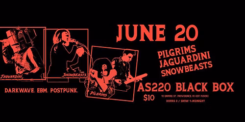 PILGRIMS \/ JAGUARDINI \/ SNOWBEASTS at AS220