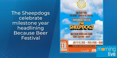 Parking The Sheepdogs