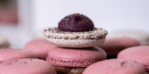 F\u0151szerepben a Macaron \u00e9lm\u00e9nys\u00fct\u00e9s