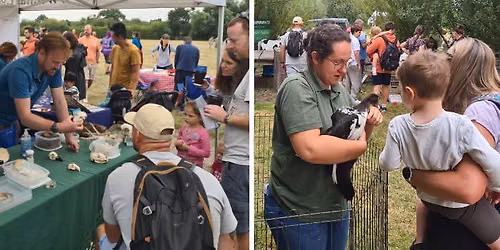 Nature Discovery Day