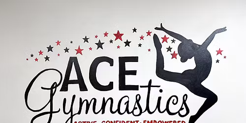 School Age Open Gym!! 
