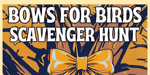 Bows For Birds Scavenger Hunt