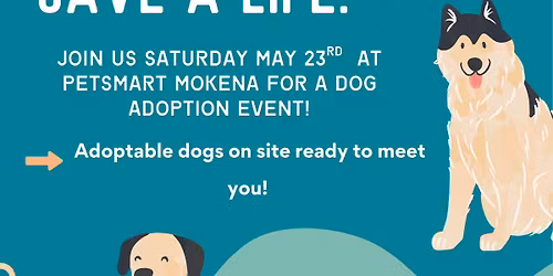 Petsmart Dog Adoption Event! 