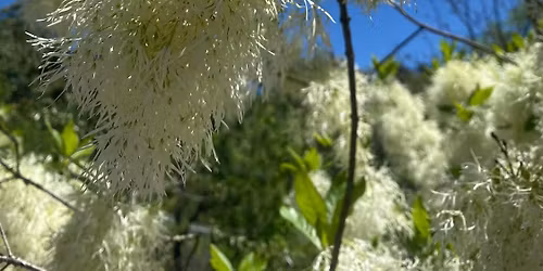 Gardening Class; Right Plant, Right Place