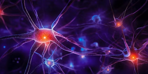 Inside the Human Mind: How Genomics is Transforming Mental Health Research